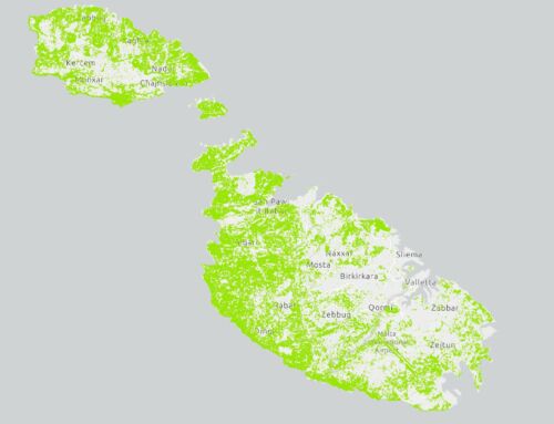 Malta Grassland Cover 2020