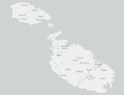 Malta Shrubland Cover 2020