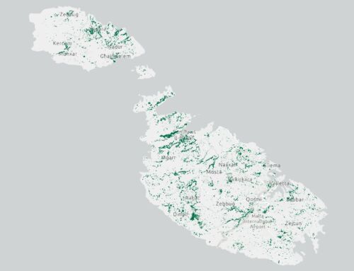Malta Tree Canopy Cover 2020